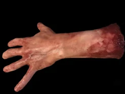 Severed Left Male Hand - Silicone Human Body Part Halloween Prop