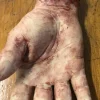 Severed Male Hand - Silicone Human Body Part Halloween Prop
