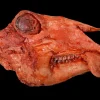 Severered Goat Head Halloween Prop