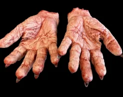Silicone Pair of Witch Hands Body Parts Halloween Prop