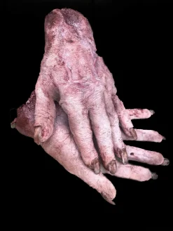 Silicone Pair of Witch Hands Body Parts Halloween Prop