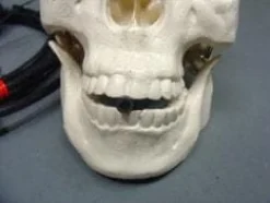 Spitter Mechanism Animated Halloween Prop Accessory