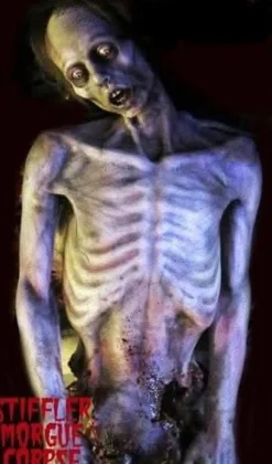 Stiffler Morgue Corpse Professional Human Body Halloween Prop