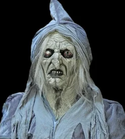 Swamp Hag HD Studios Costume
