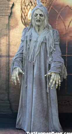 Swamp Hag HD Studios Costume