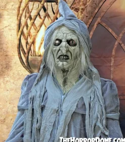 Swamp Hag HD Studios Costume