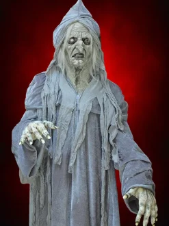 Swamp Hag HD Studios Costume