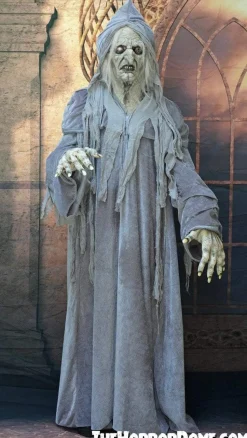 Swamp Hag HD Studios Costume