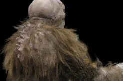 The Hobgoblin HD Studios Pro Halloween Costume