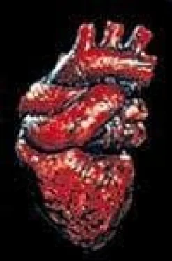 The Human Heart Bloody Halloween Prop
