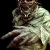 The Mummy Professional Costume