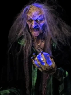 The Witch Professional Halloween Prop