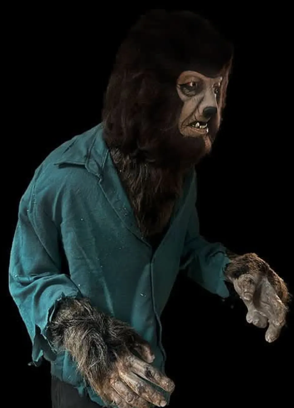 The Wolfman Halloween Prop