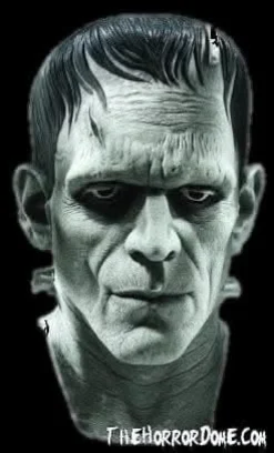 Universal Studios Frankenstein Mask