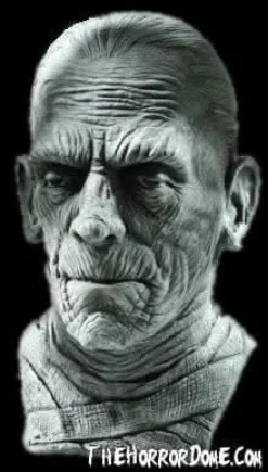 Universal Studios Mummy Mask