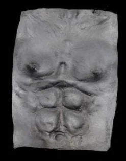 Werewolf Chest Plate - Grey Halloween Costume Accessory