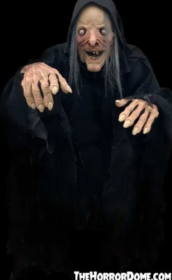 Wicked Witch HD Comfort Fit Halloween Costume