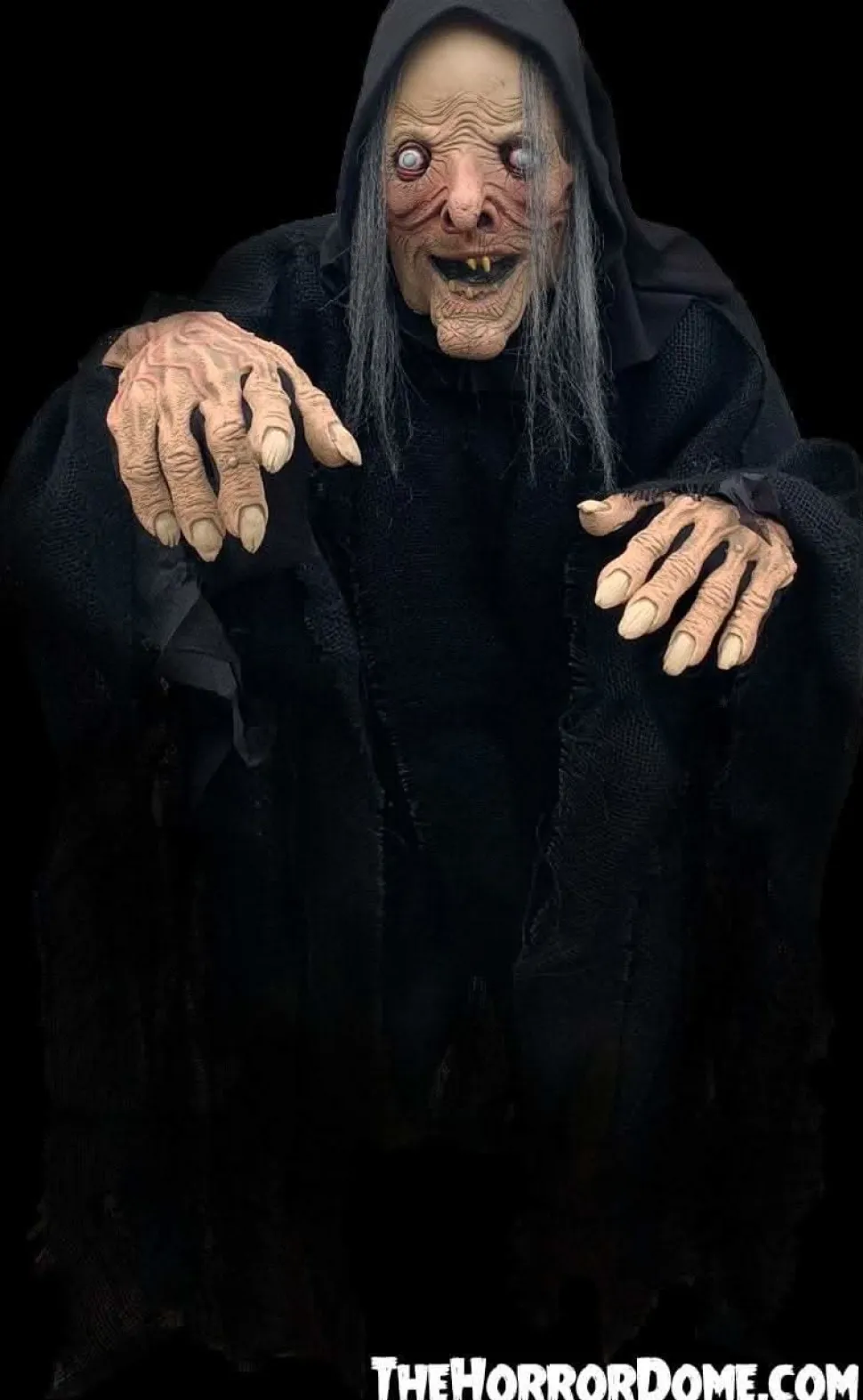 Wicked Witch HD Comfort Fit Halloween Costume