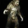 Wolf Man Professional Costume