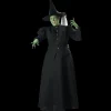 Women's Plus Size Witch Costume