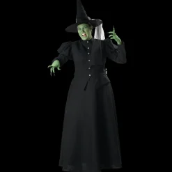Women's Plus Size Witch Costume