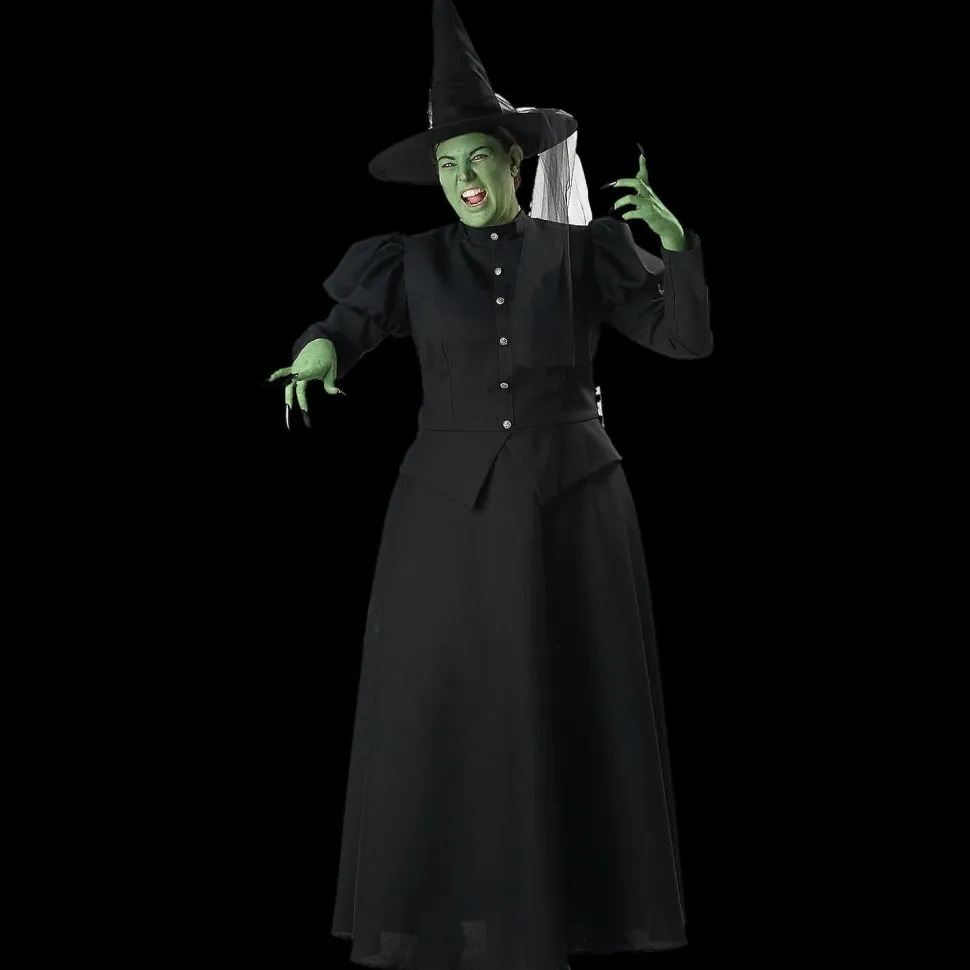 Women's Plus Size Witch Costume