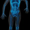 X-Ray Skin Suit Costume