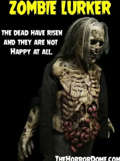 Zombies HD Studios Pro Costumes - 3x Package Deal
