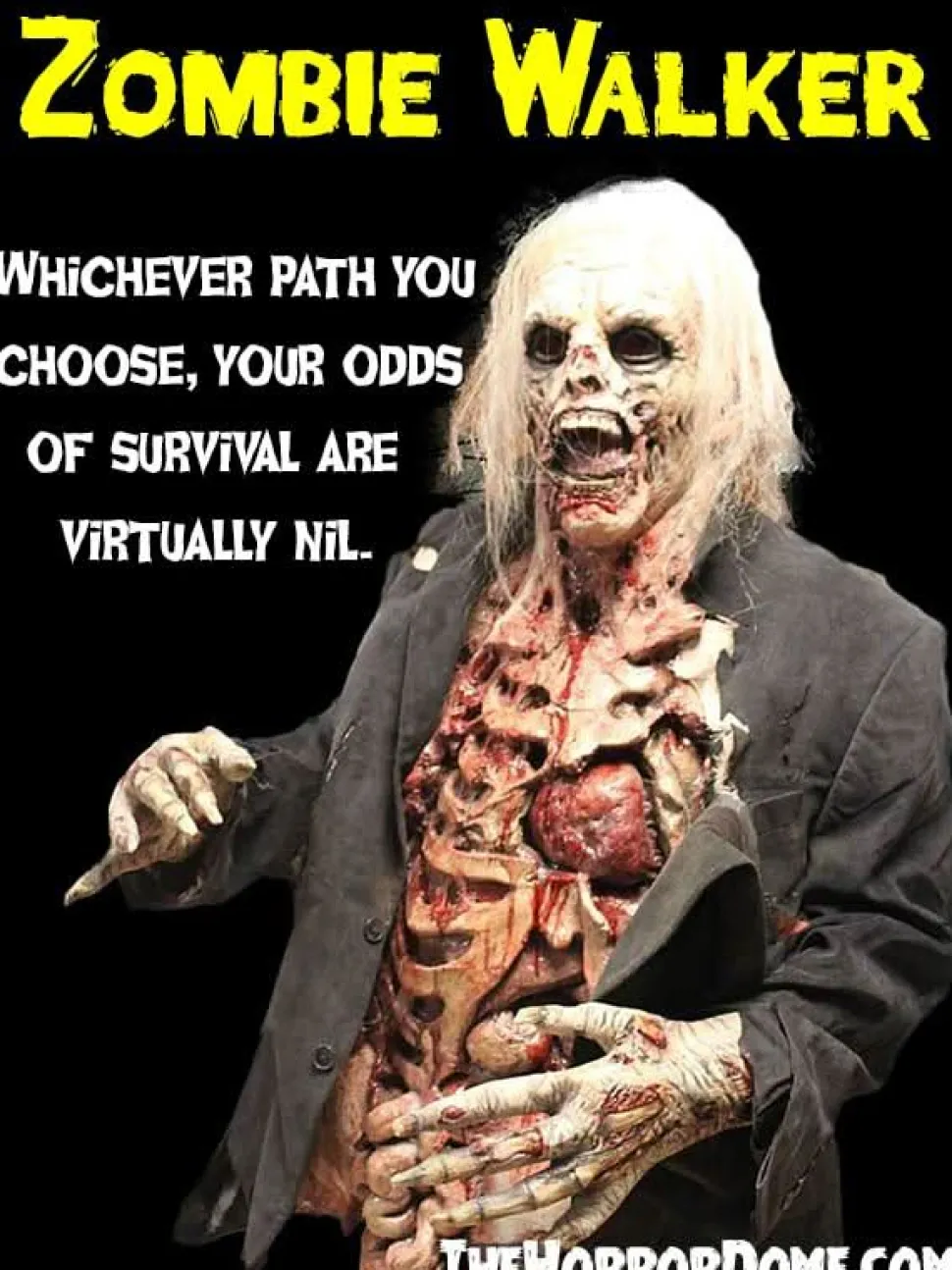Zombie Walker HD Studios Pro Halloween Costume