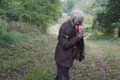 Zombie Walker HD Studios Pro Halloween Costume