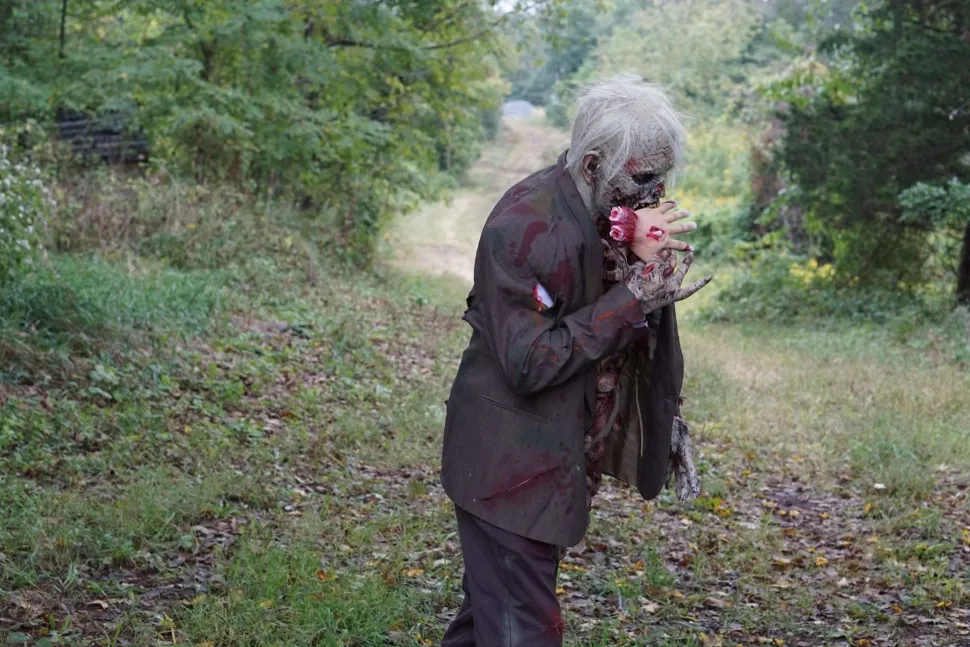 Zombie Walker HD Studios Pro Halloween Costume