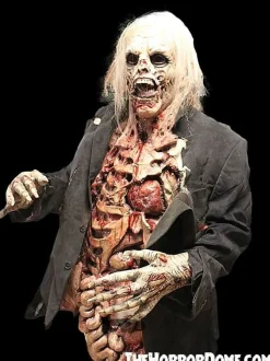 Zombie Walker HD Studios Pro Halloween Costume