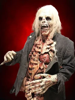 Zombie Walker HD Studios Pro Halloween Costume