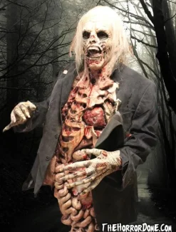 Zombie Walker HD Studios Pro Halloween Costume
