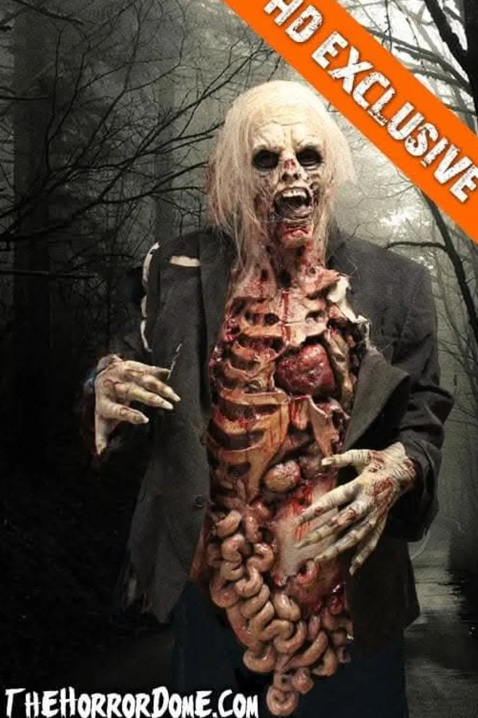 Zombie Walker HD Studios Pro Halloween Costume