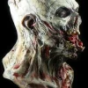 Zombie Walker HD Studios Pro Halloween Mask